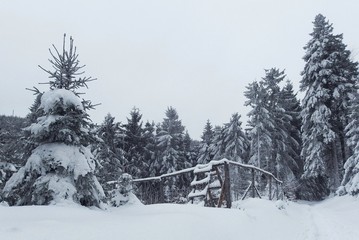 Góry Bialskie zimą, Polska © Iwona