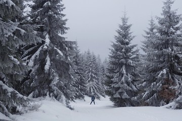 Góry Bialskie na biegówkach, Polska © Iwona