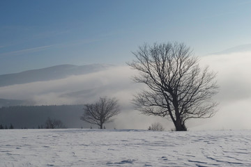 Zimowe góry zasnute mgłą