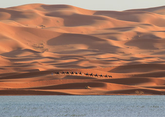 las dunas 