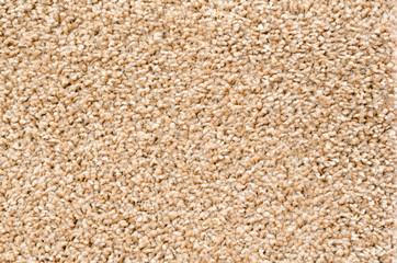 beige carpet