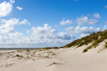 sand dunes of Blaavand beach, south Jutland
