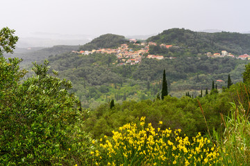 Corfu, also know as Green Island, covered with wild olive trees and cypresses. Europe