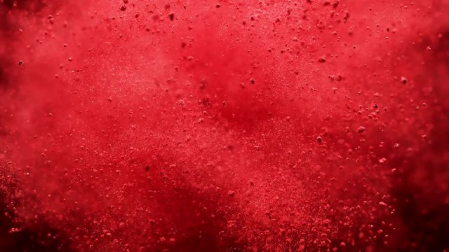 
Colorful powder/particles fly after being exploded against black background. Shot with high speed camera, phantom flex 4K. Slow Motion.
