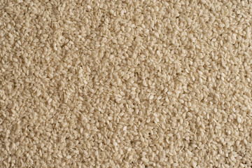 texture natural sesame seeds close-up