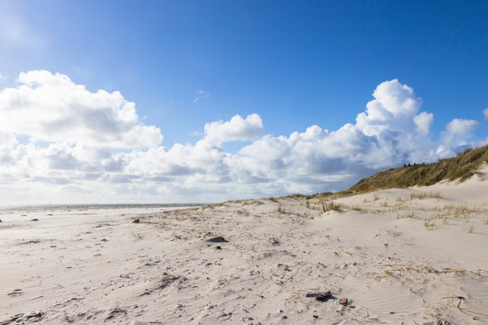 sand dunes of Blaavand beach, south Jutland