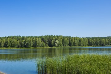 Fototapeta premium Calm landscape with lake and forest