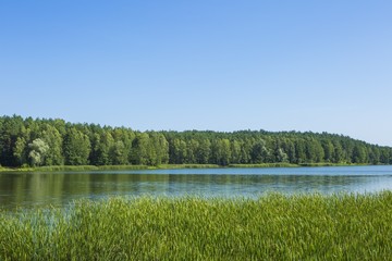 Calm landscape with lake and forest