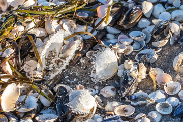 ostseestrand