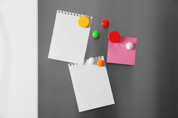 Blank paper sheets and magnets on refrigerator door © Africa Studio