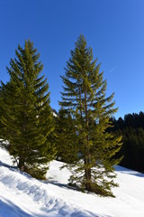 Berwang in den Lechtaler Alpen