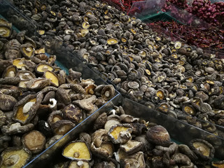 Fototapeta na wymiar Fresh shiitake mushroom (Lentinula edodes),Fresh Shiitake Mushrooms at Southeast Asian Farmers Market