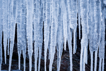 Row of big frosty icicles in nature - obrazy, fototapety, plakaty