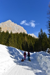 Winterwanderung auf der Ehrwalder Alm Zugspitzarena 