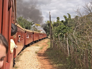 Fototapeta premium Train