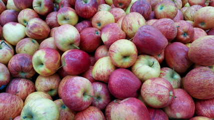 Apples for sale on the market