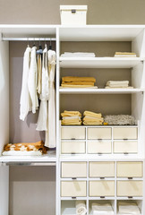 Fototapeta na wymiar modern wooden wardrobe with clothes hanging on rail in walk in closet design interior