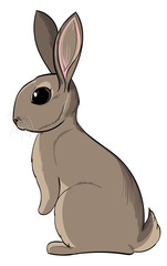 Baby bunny standing on hind legs