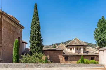 Fototapeta na wymiar Tree along the pointed rooftop ancient ruins at Alhambra in Granada, Spain, Europe