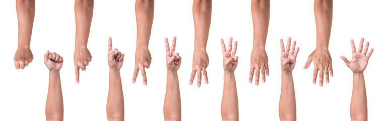 Set of human hand collection showing gestures or sign of number one to five isolated on white