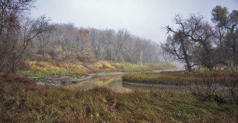 Obraz premium Morning Mist