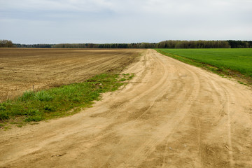 Fototapeta na wymiar Rural road in Belarus