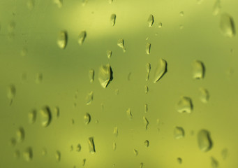 raindrops on the window glass