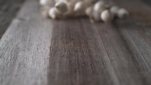 Onions falling and rolling on a table. Shot with high speed camera, phantom flex 4K. Slow Motion.