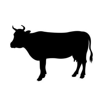 cow vector illustration  black silhouette profile view