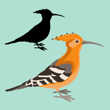 recommend clip art: hoopoe  bird vector illustration flat style black silhouette profile