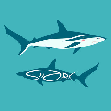 shark vector illustration flat style  silhouette profile view