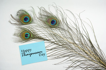 Obraz premium Top or flat lay view of a peacock feathers on a white background with a words HAPPY THAIPUSAM DAY. Celebrate by a hindu religions. A religions conceptual.