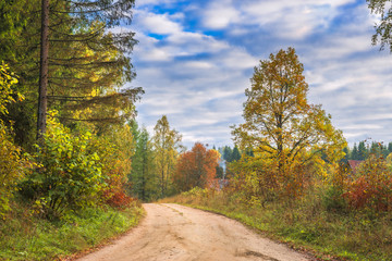 Countryside road in autumnal forest, Europe