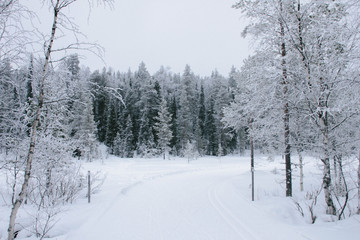 snow-covered road