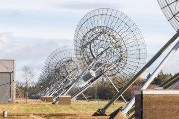 Large array radio telescope