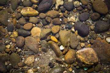 Fototapeta na wymiar Closeup natural river stone under clear river water, natural concept background
