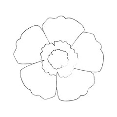 exotic flower isolated icon