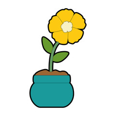 exotic flower isolated icon