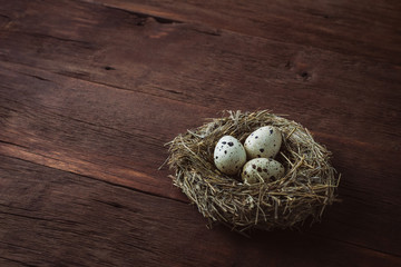Naklejka na ściany i meble Quail eggs in a nest on a wooden background. Taken at an angle