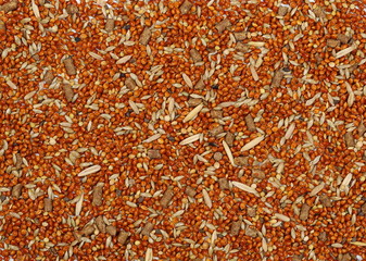 Mixed bird seed, millet pile for parakeets texture and background, top view