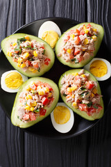 Ripe avocado with a salad of tuna and vegetables close-up. Vertical top view