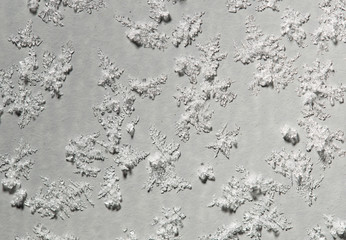 Snowflakes on a gray background