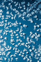 Snowflakes on a blue background