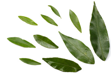 citrus leaves isolated on white background top view