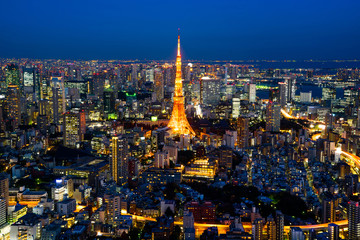 Asia Business concept for real estate & corporate construction - panoramic modern city skyline of Tokyo Tower and Tokyo Metropolitan Expressway junction with neon night in Roppongi Hill, Tokyo, Japan