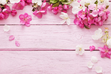 pink spring flowers on  wooden background
