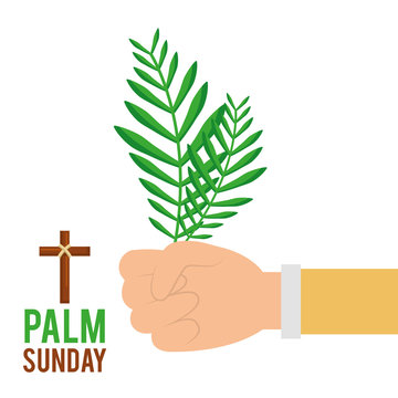 palm sunday hand holding branch faith celebration vector illustration