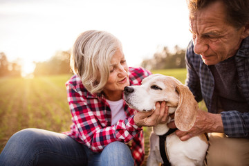 Senior couple with dog on a walk in an autumn nature.