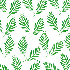 green palm branch frond decoration pattern vector illustration