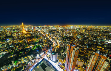 Asia Business concept for real estate & corporate construction - panoramic modern city skyline of Tokyo Tower and Tokyo Metropolitan Expressway junction with neon night in Roppongi Hill, Tokyo, Japan